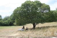Visite de la Terre - 2012