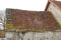 La Terre 00038