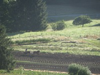 Riverenert 00001