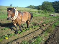Riverenert 00012