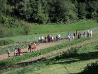 Riverenert 00028