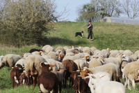 Les fermes