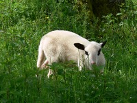 LaBleymie @TDLMidiPy (2)