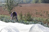 Clayrac 2022 Cultures @LPitois (55)