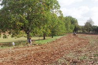 Clayrac 2022 Cultures @LPitois (4)