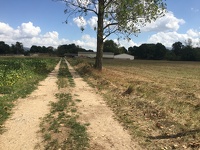 La Rive 2022 @TDLMidiPyrénées (8)