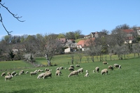 Beduer ferme 00001