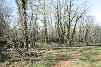 IMG 0486