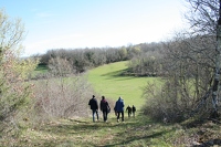 IMG 0499