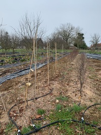 Visite Clayrac