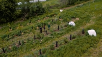 Tournage vidéo journée de la biodiversité - 7-©TDL-Antonin Bachès