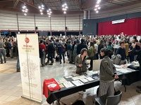 Les stands