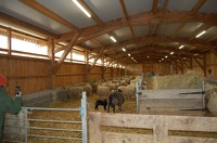 2026-03-28 AG-Barjac - 86
